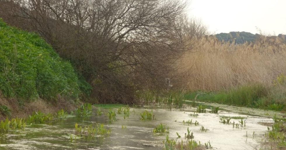 Στοπ στα στρεβλά αντιπλημμυρικά στον Ερασίνο